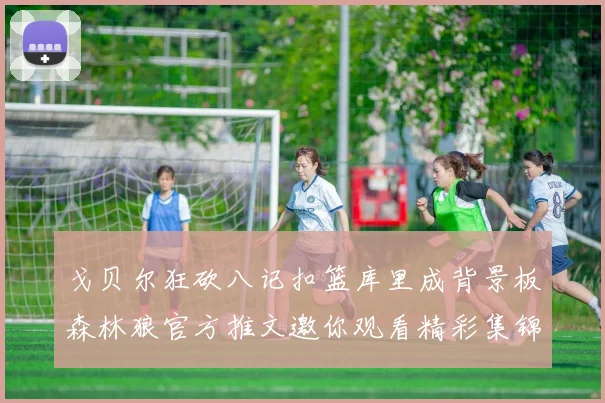 戈贝尔狂砍八记扣篮库里成背景板森林狼官方推文邀你观看精彩集锦