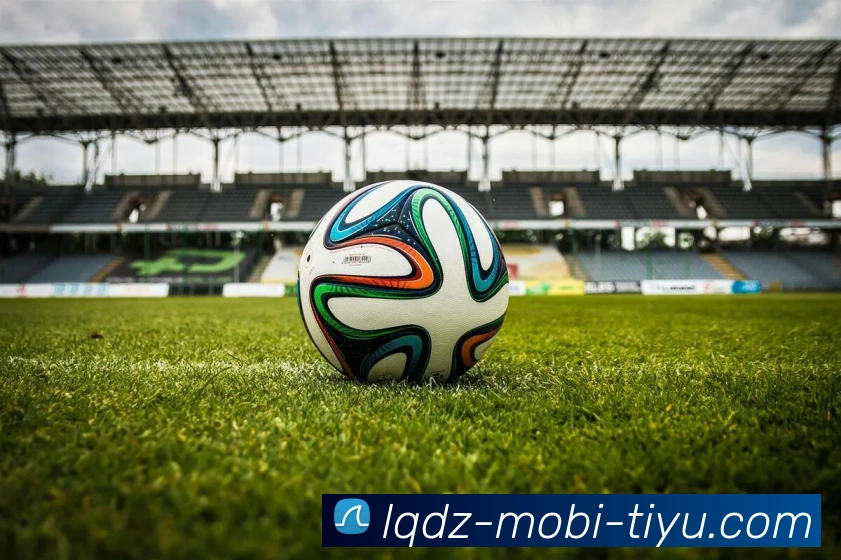 篮球赌注平台生态图