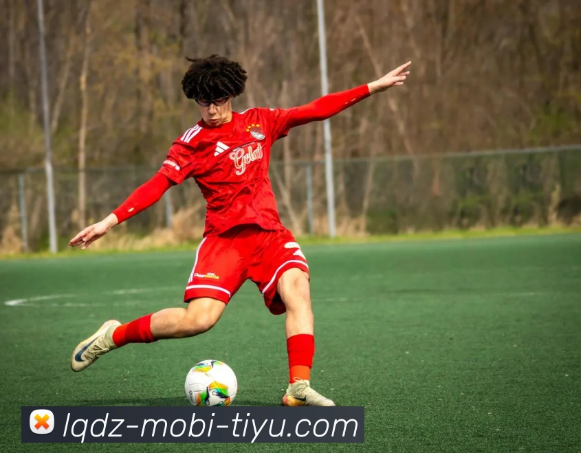 篮球赌注APP 封面图